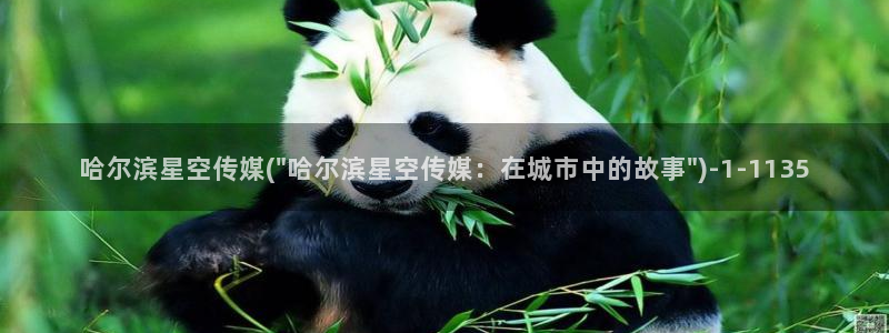 星空传媒高清资源