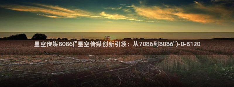 星空传媒海报下载