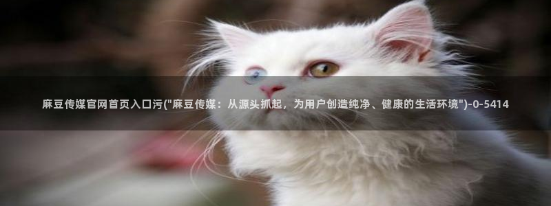 麻豆映视传媒官网：麻豆传媒官网首页入口污(\