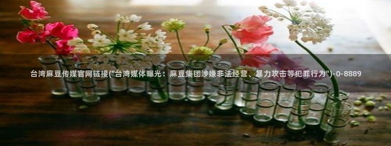 麻豆传媒直播 官网：台湾麻豆传媒官网链接(\
