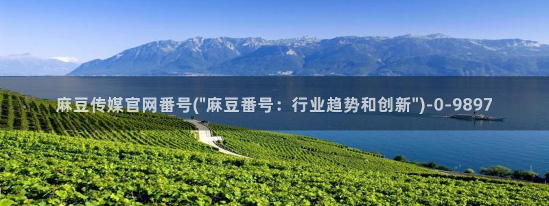 麻豆原创传媒官网：麻豆传媒官网番号(\