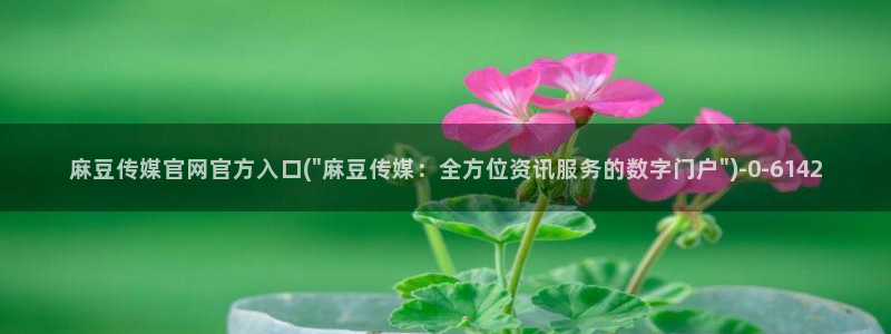 mdpun麻豆传媒官网：麻豆传媒官网官方入口(\