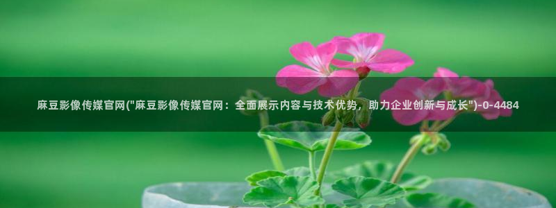 麻豆传媒眏画官网：麻豆影像传媒官网(\