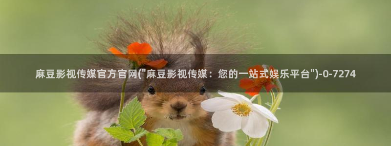 麻豆传媒官网作品：麻豆影视传媒官方官网(\