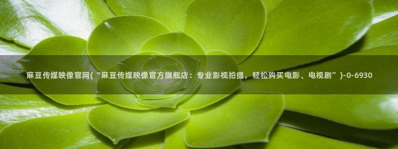 麻豆 传媒官网进入：麻豆传媒映像官网(“麻豆传媒映像官方旗舰店：专业影视拍摄，轻松购买电影、电视剧”)