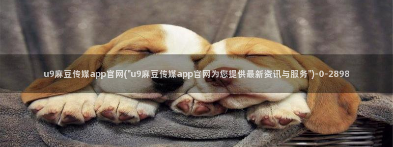 麻豆av传媒官网进入：u9麻豆传媒app官网(\