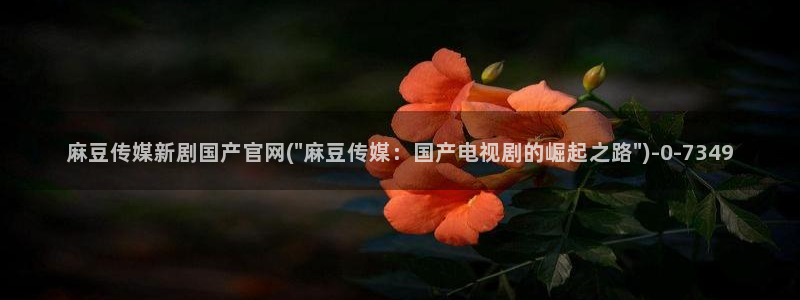 麻豆传媒官网女主：麻豆传媒新剧国产官网(\