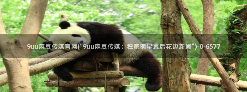 麻豆影像传媒官网地址：9uu麻豆传媒官网(\