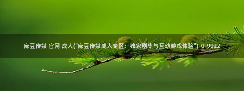 麻豆传媒系列视频官网：麻豆传媒 官网 成人(\