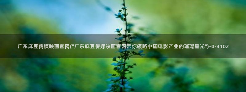 麻豆传媒官网播放：广东麻豆传媒映画官网(\