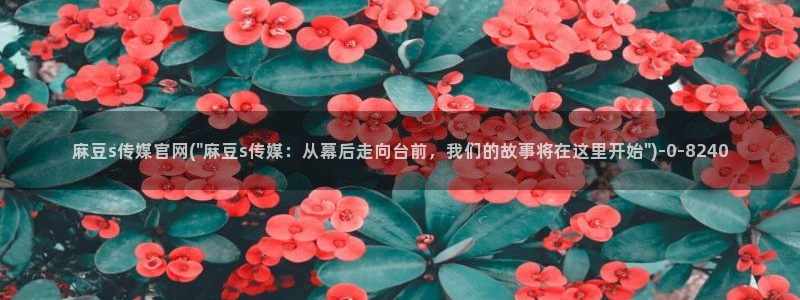 武汉麻豆传媒官网：麻豆s传媒官网(\