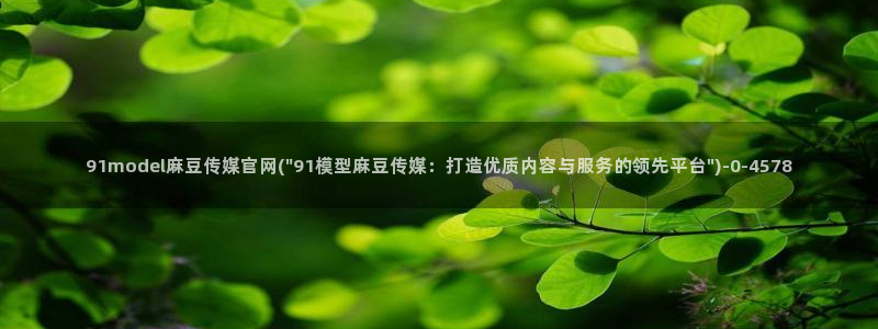 麻豆传媒在线官网：91model麻豆传媒官网(\