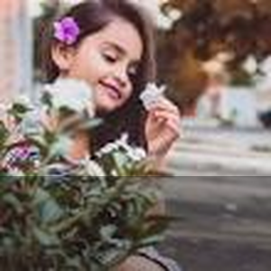 节日档观察：档期竞争里谁更吃香