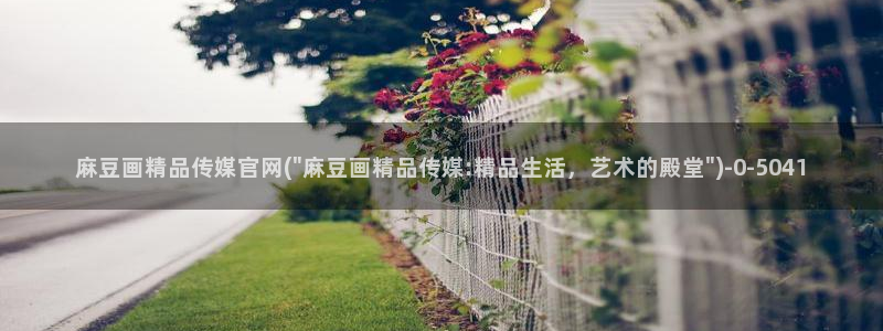 麻豆传媒出品官网
