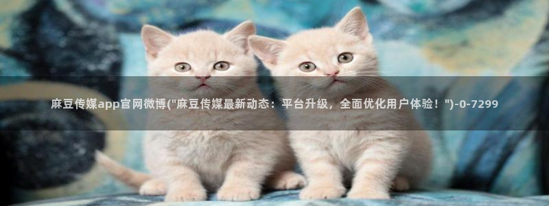 麻豆传媒官网播放